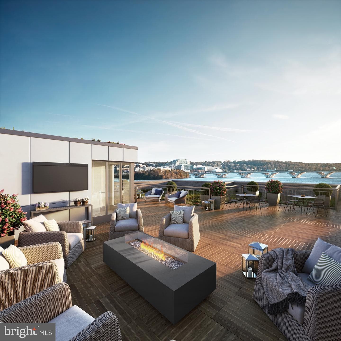 925 N Fairfax Street #1205 photo 25