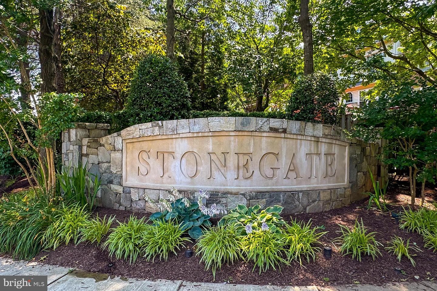 4689 Lawton Way #301 photo 2