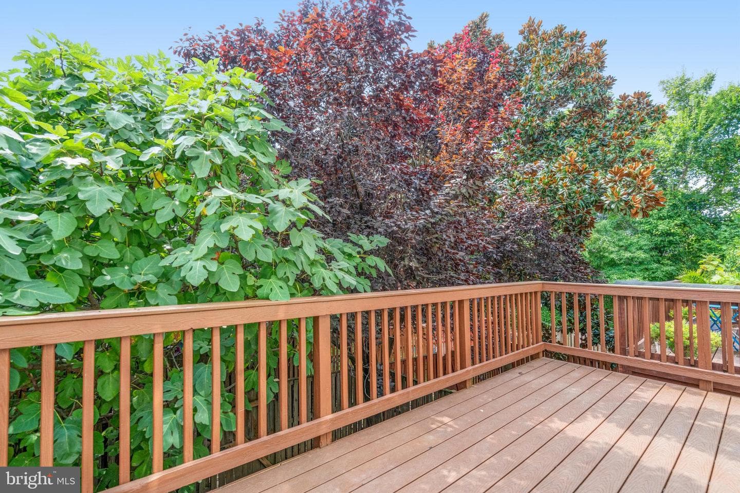 154 Ingle Place photo 11