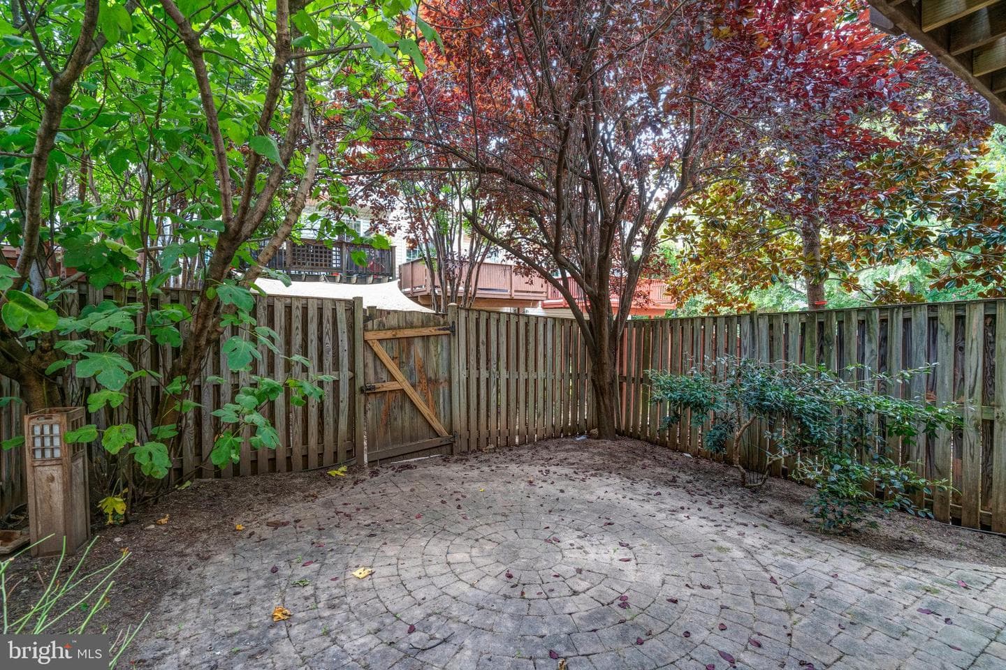 154 Ingle Place photo 36