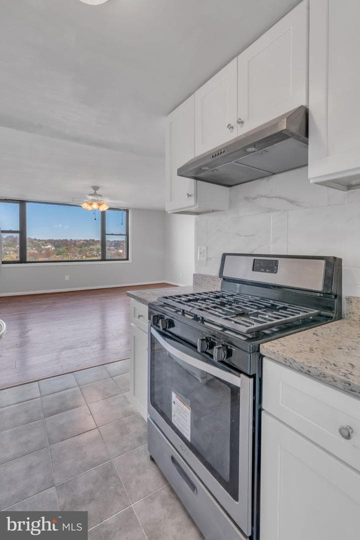 4600 Duke Street #1523 photo 10