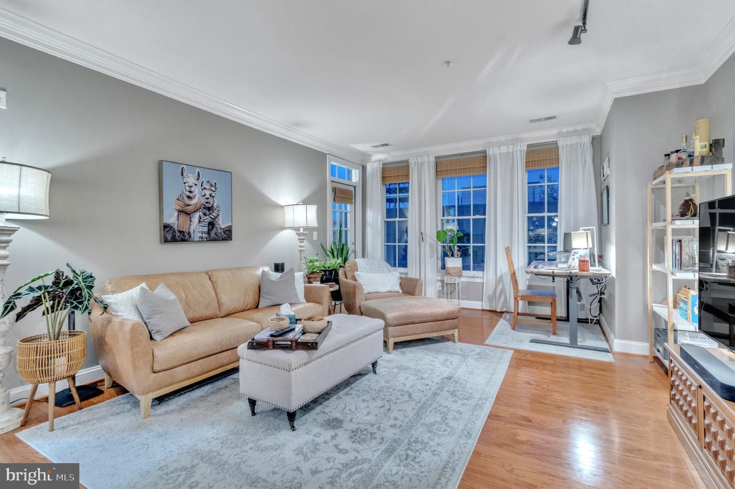 1023 N Royal Street N #212 photo 5