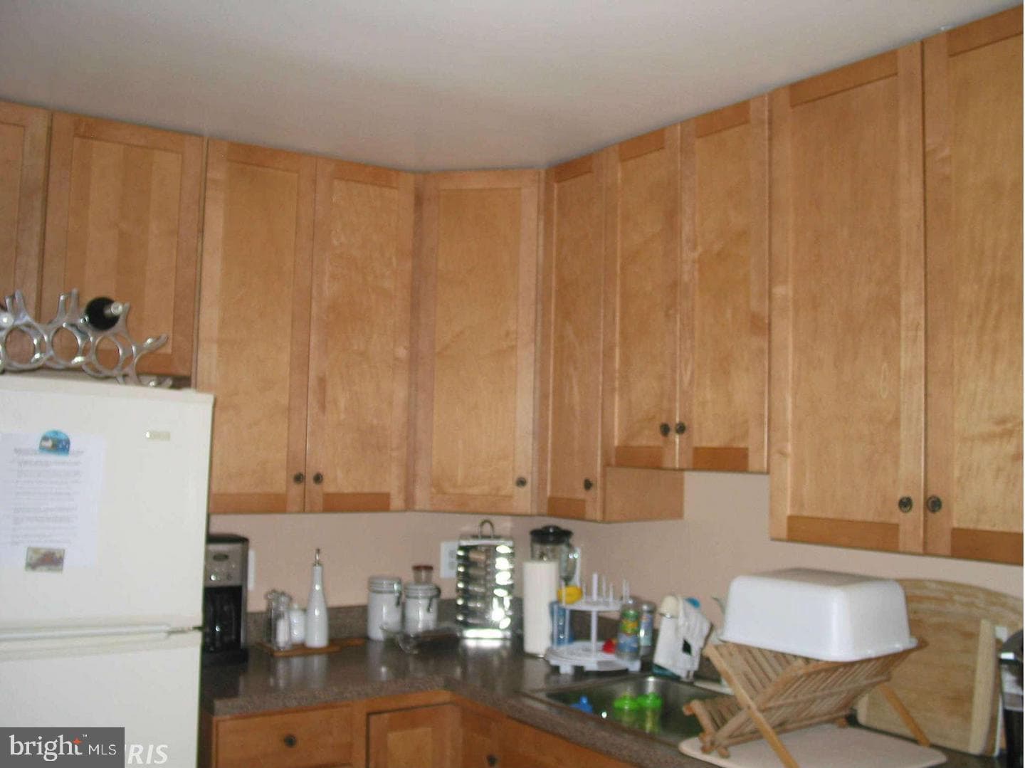 19 E Myrtle Street photo 4