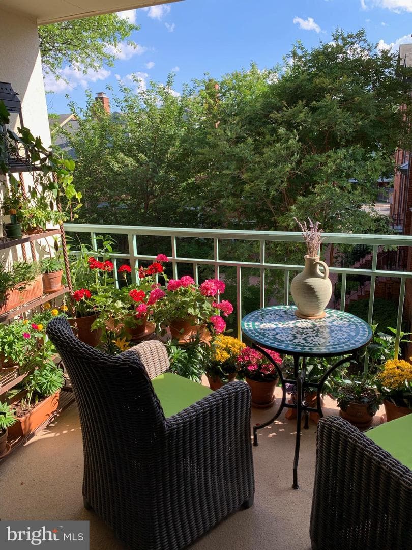 505 E Braddock Road #204 photo 8