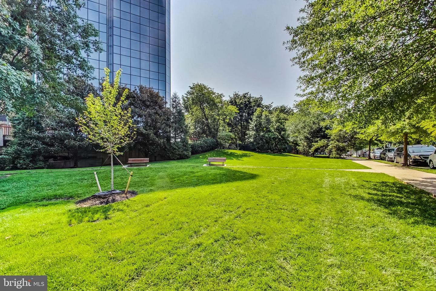 3101 N Hampton Drive #203 photo 7