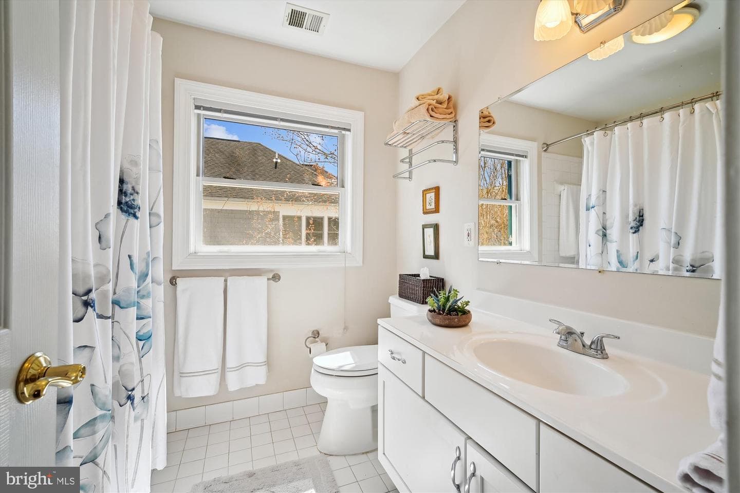 1005 Ramsey Street photo 41