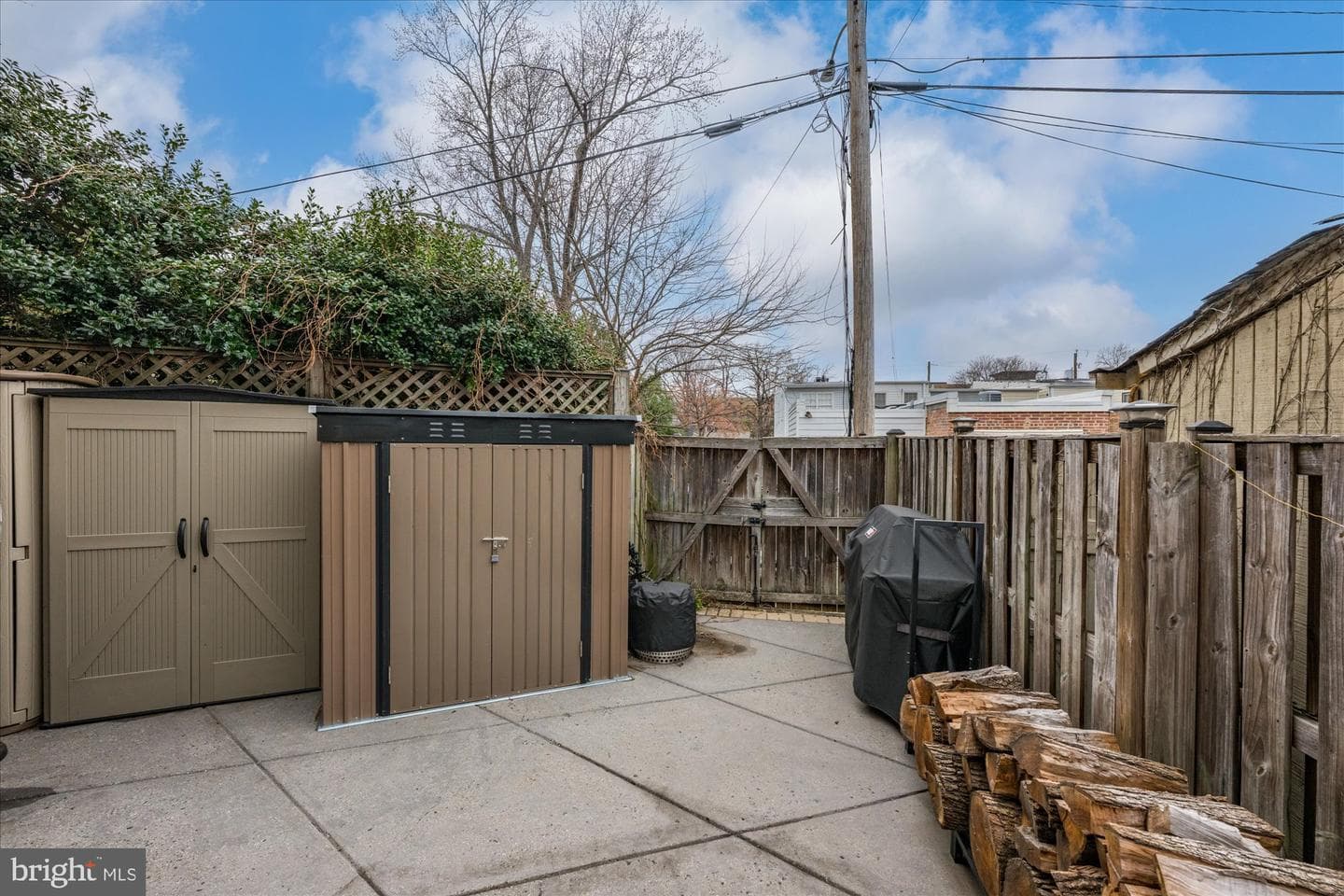 913 Oronoco Street photo 17