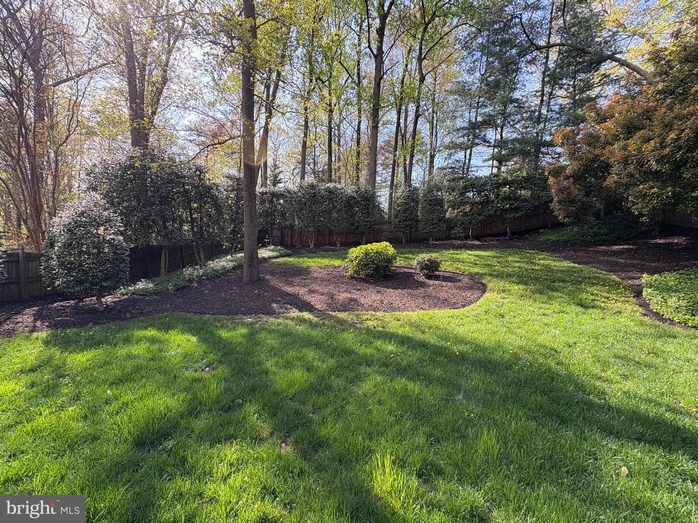 1106 N Howard Street photo 3