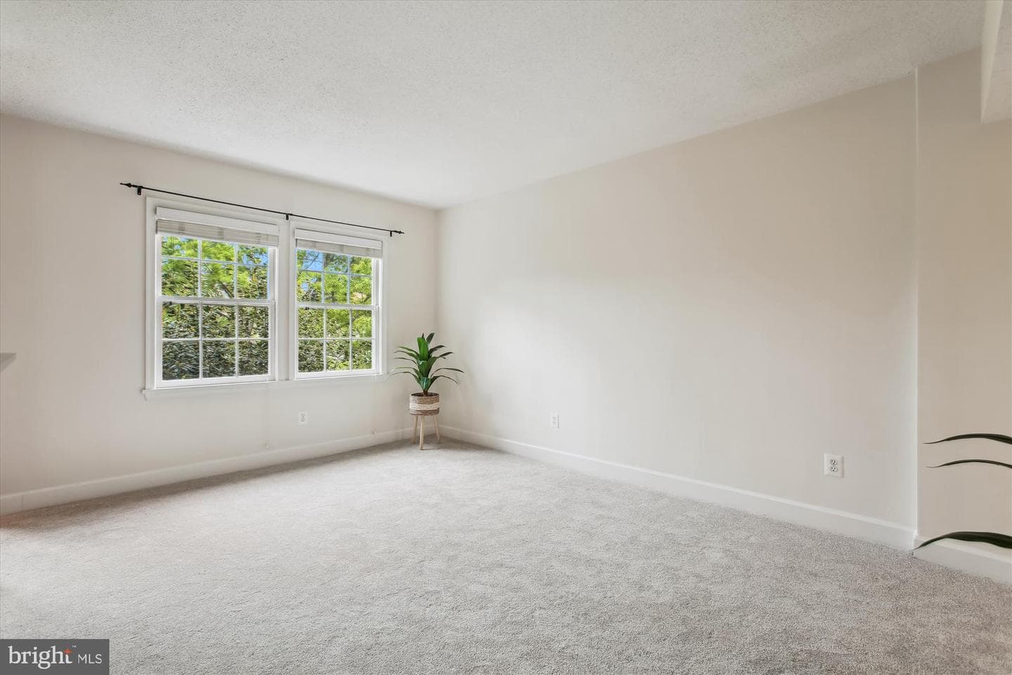 502 Bashford Lane #3231 photo 7