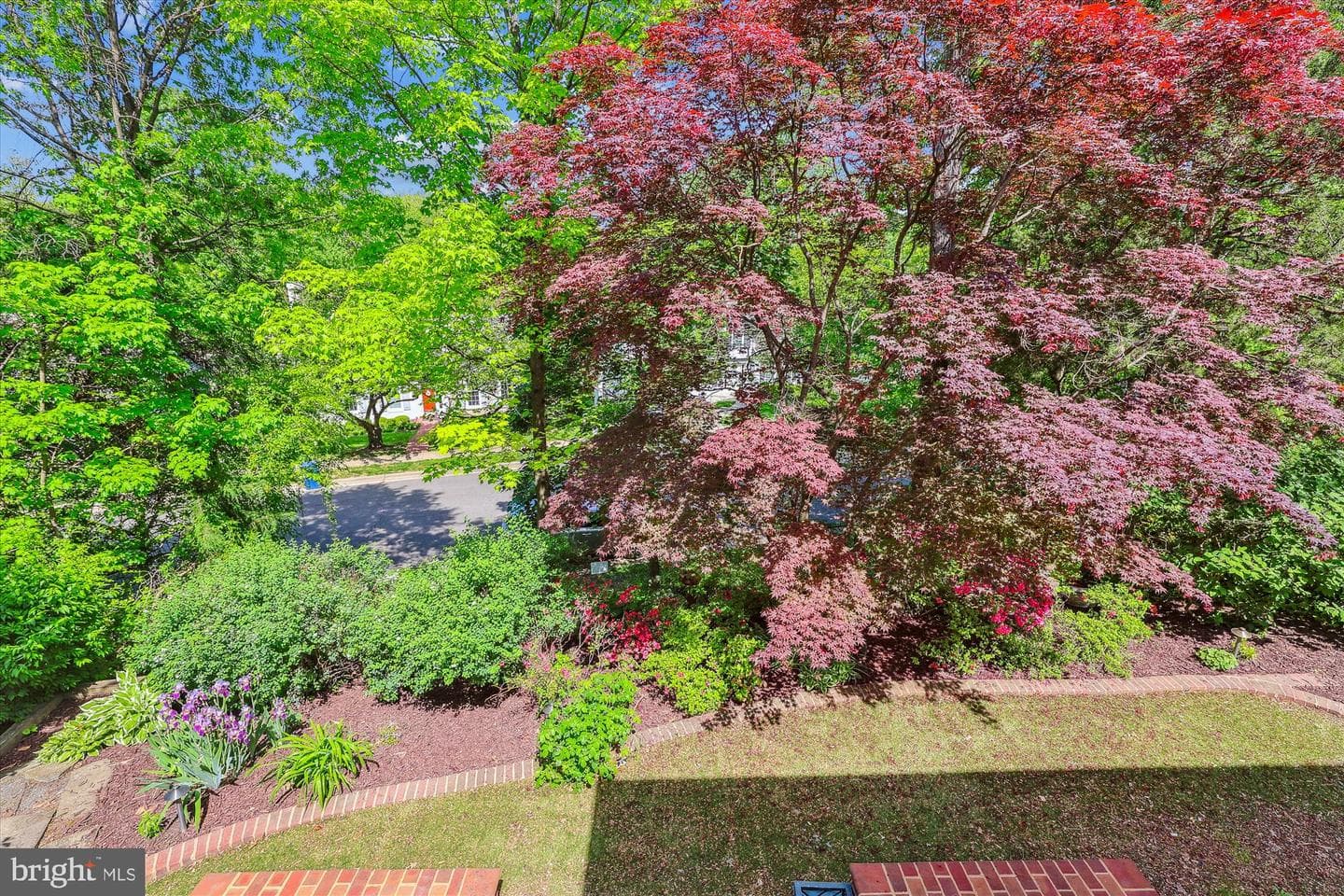 2929 Eddington Terrace photo 85