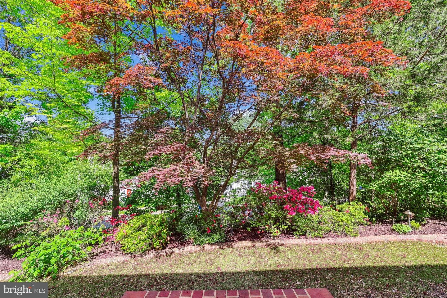 2929 Eddington Terrace photo 88