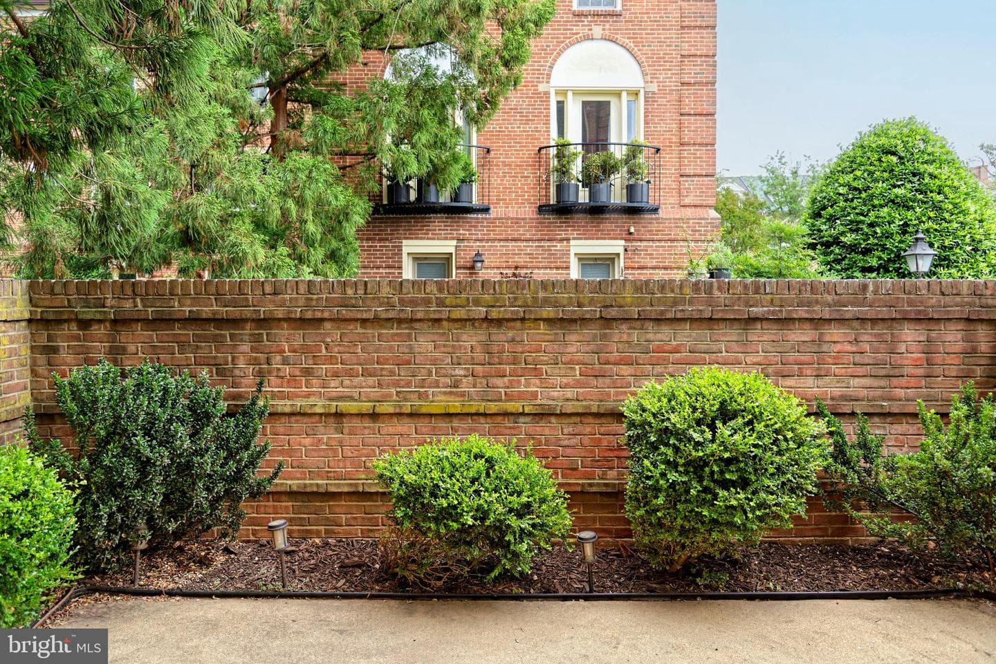 1107 N Pitt Street #1b photo 14