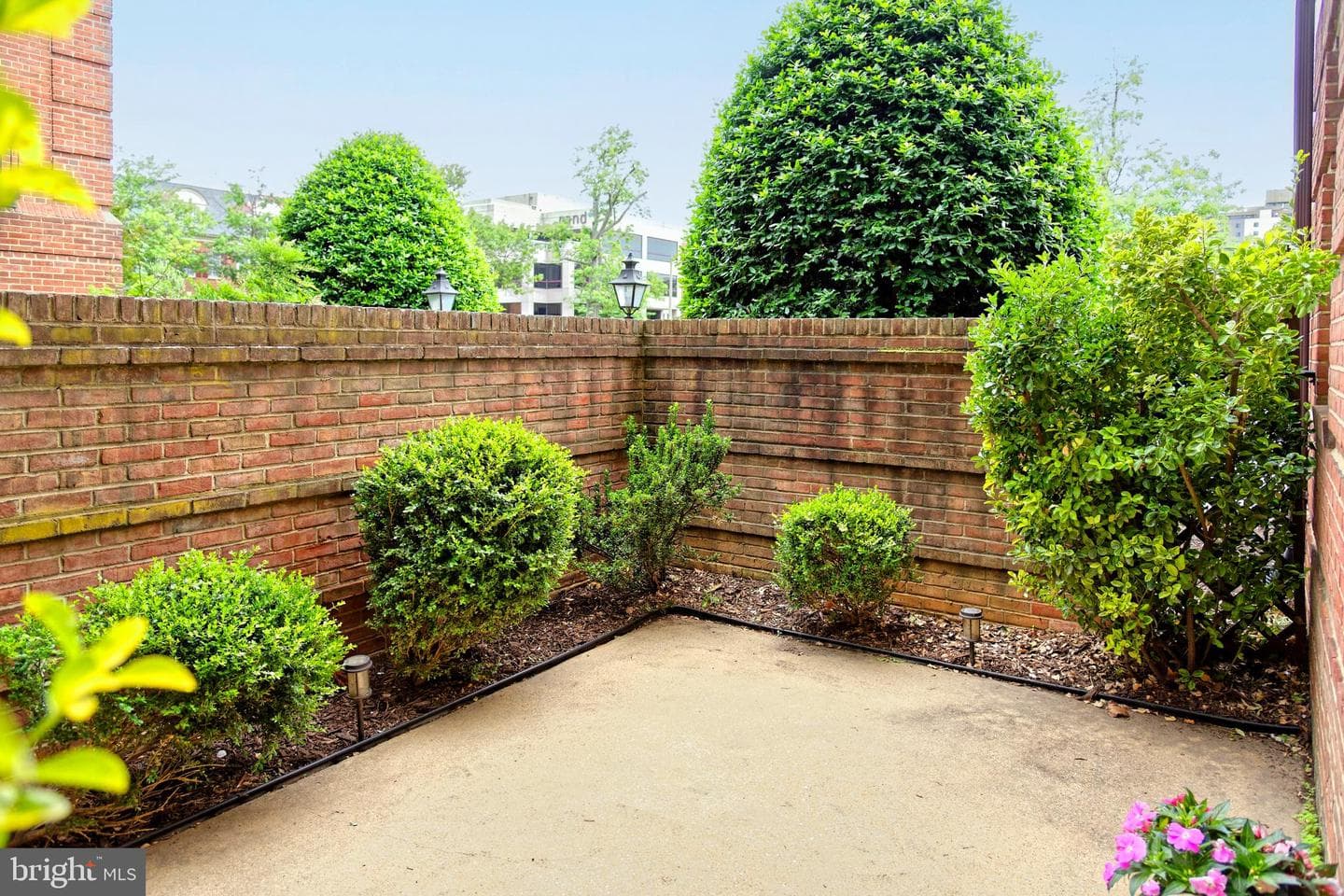 1107 N Pitt Street #1b photo 15