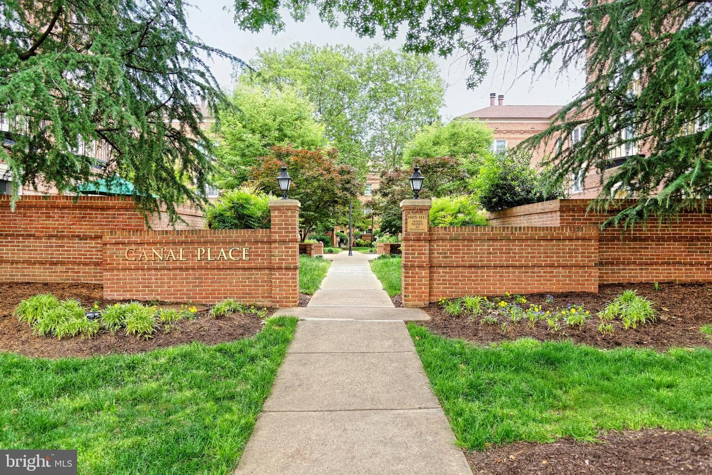 1107 N Pitt Street #1b photo 2