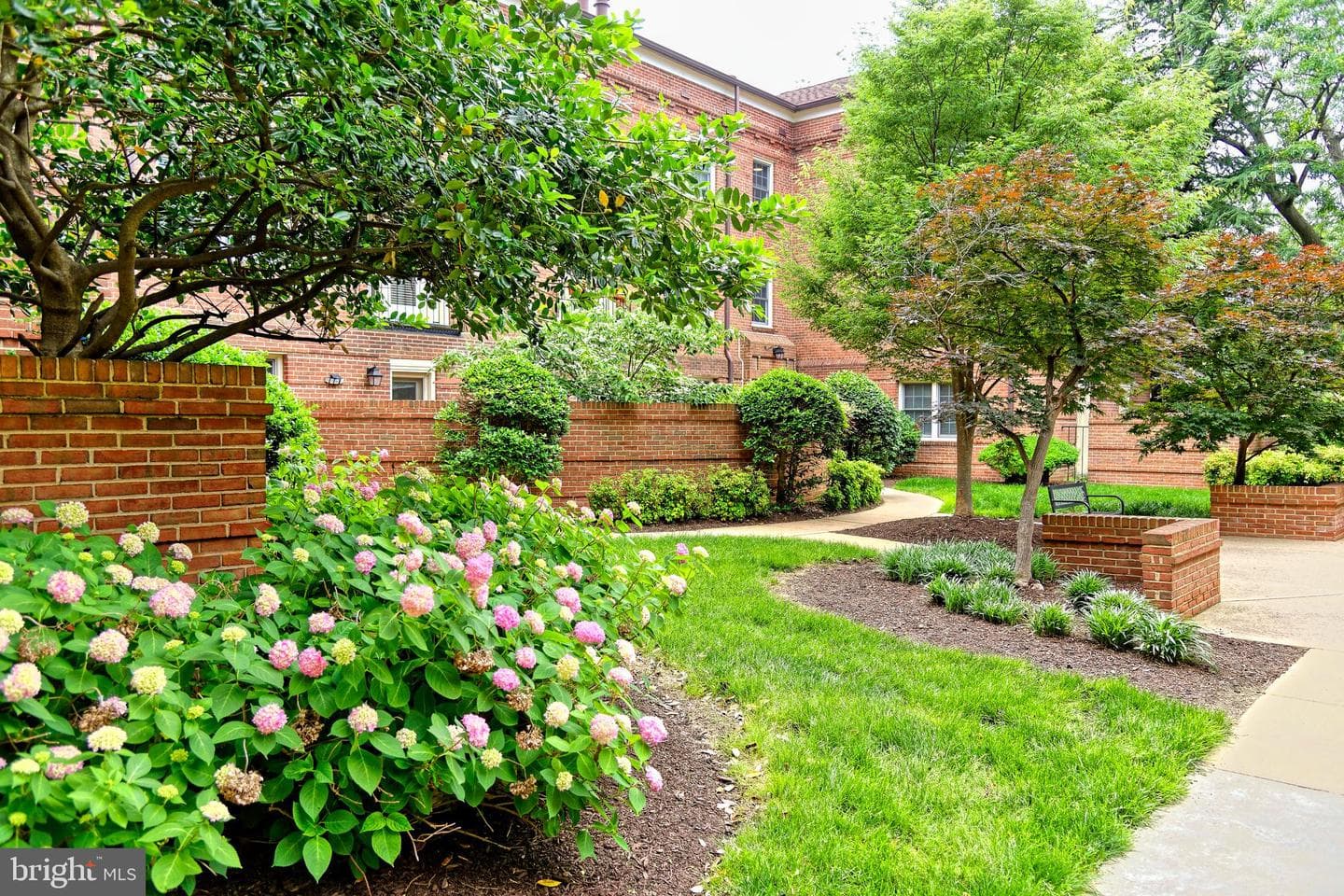 1107 N Pitt Street #1b photo 3
