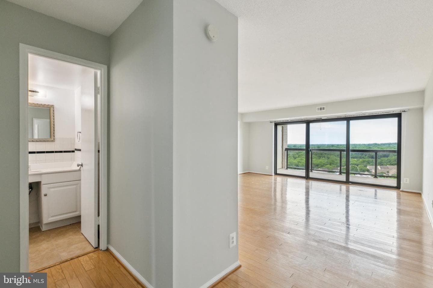 307 Yoakum Parkway #1620 photo 12