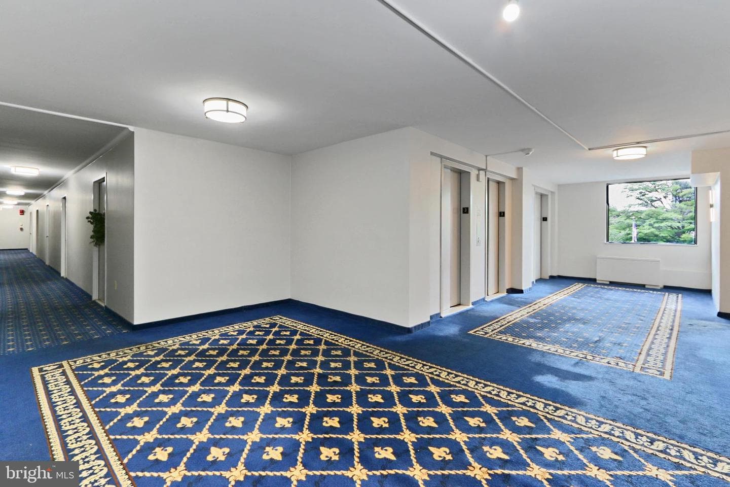 801 N Pitt Street N #1206 photo 31
