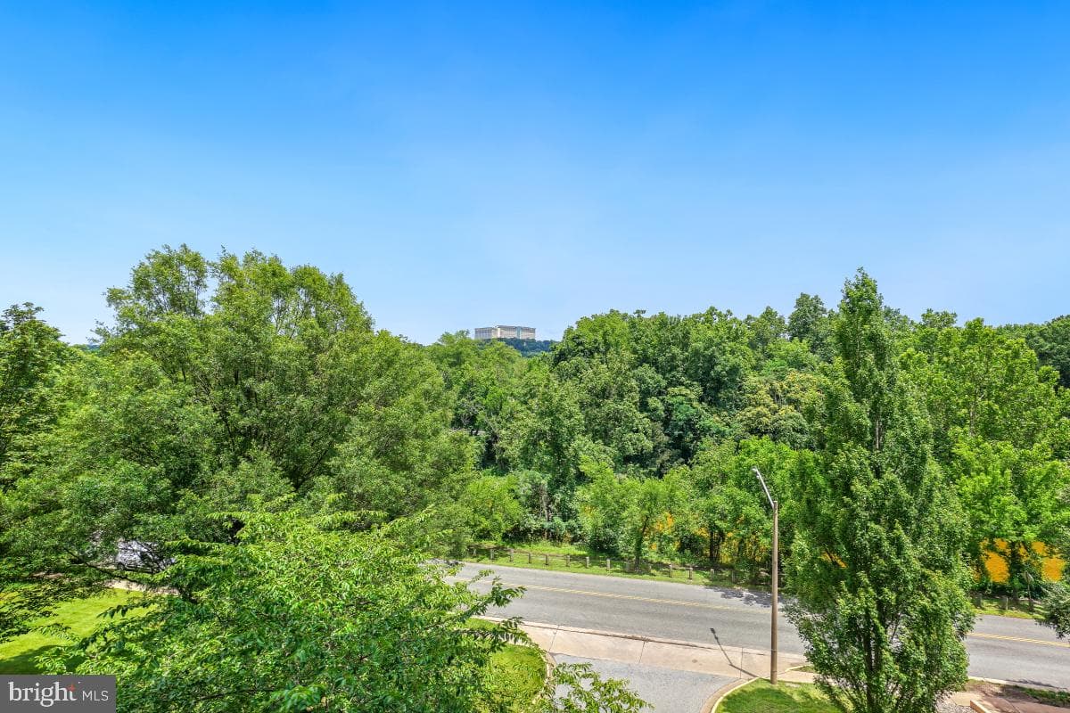 200 N Pickett Street #509 photo 35