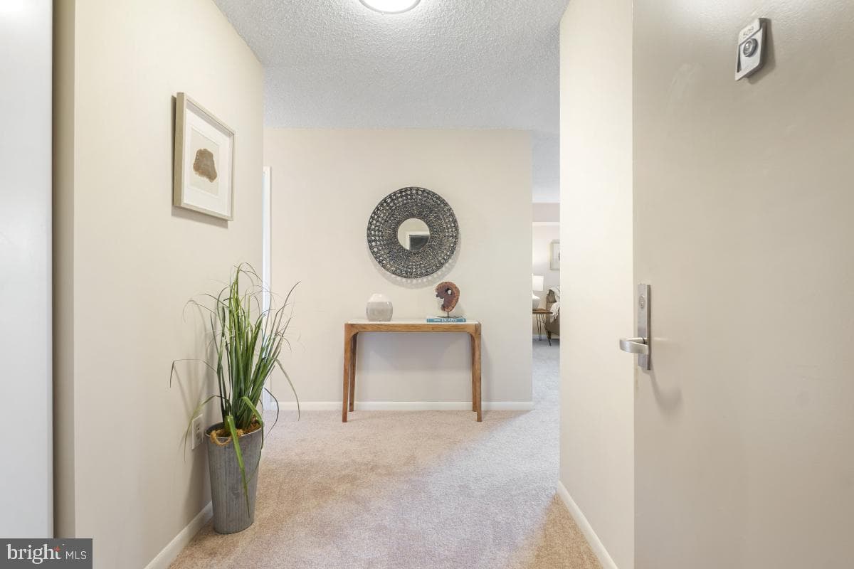 200 N Pickett Street #509 photo 4