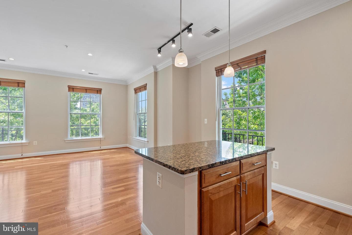 1023 N Royal Street #217 photo 10