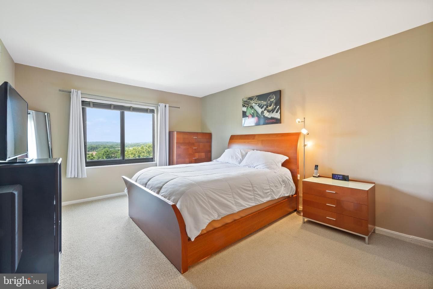 203 Yoakum Parkway #1605 photo 21