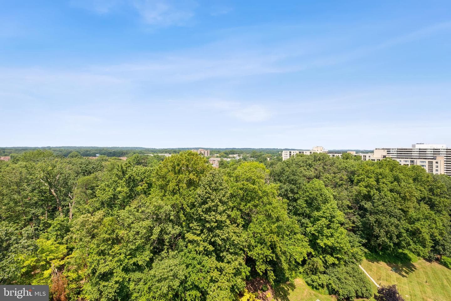 203 Yoakum Parkway #1605 photo 33