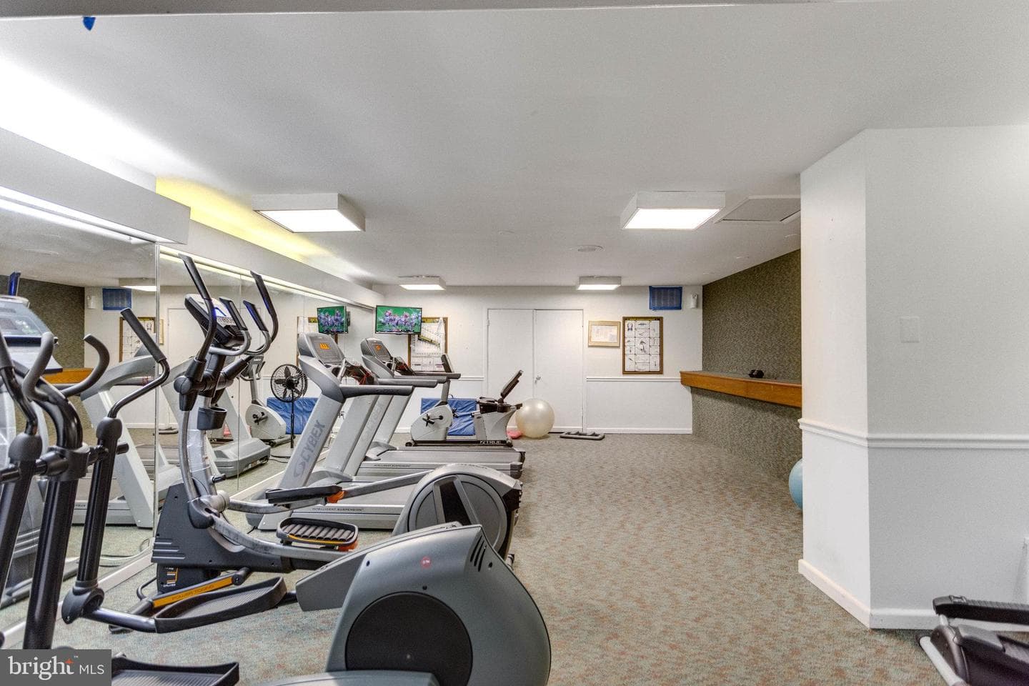 5340 Holmes Run Parkway #1003 photo 19
