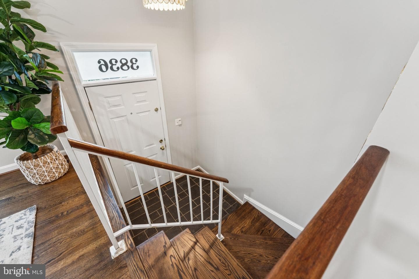 3836 Brighton Court photo 5
