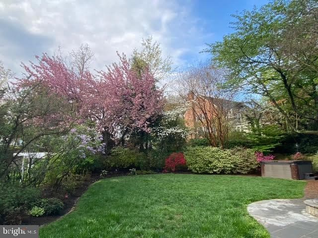 500 Crown View Drive photo 41