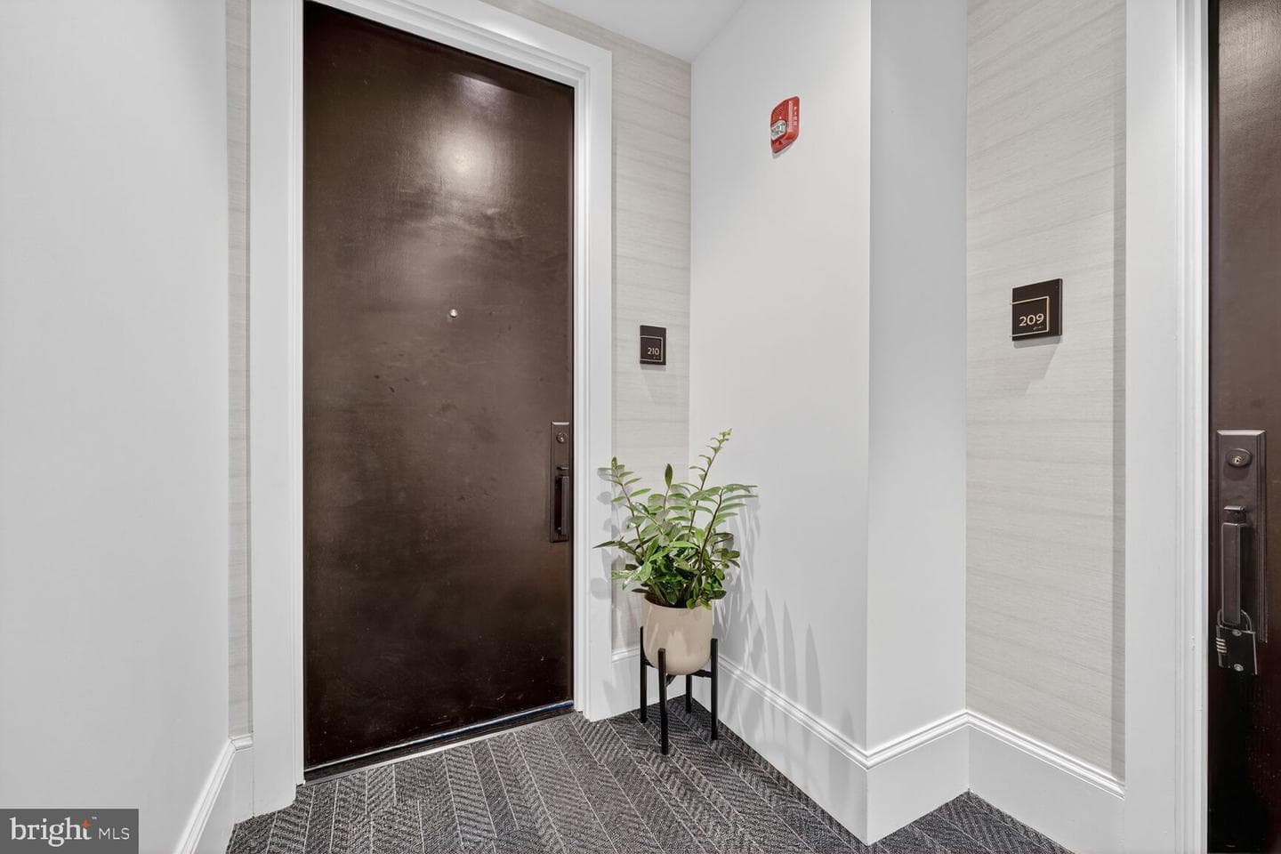 1312 King Street #210 photo 2