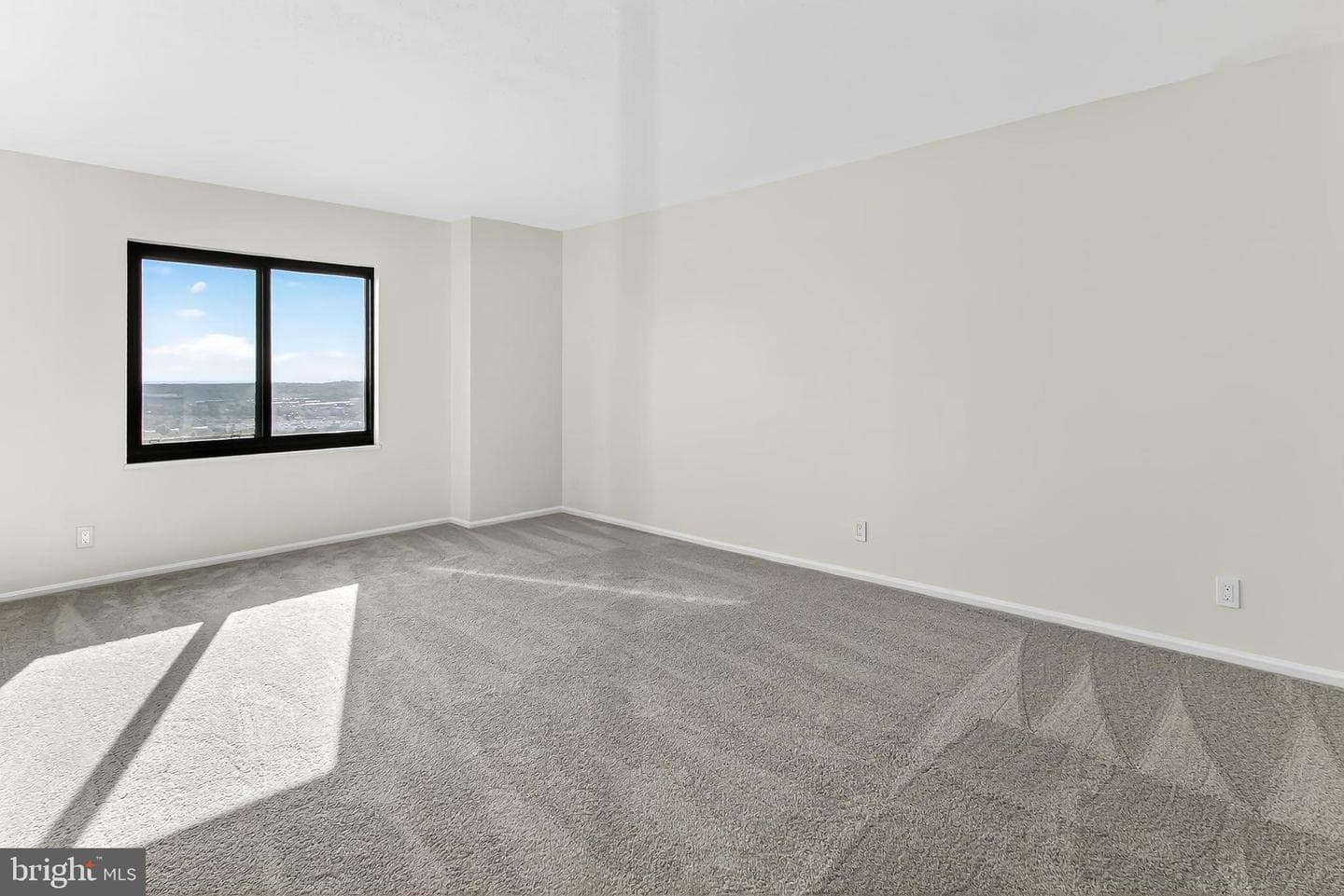 205 Yoakum Parkway #1509 photo 25