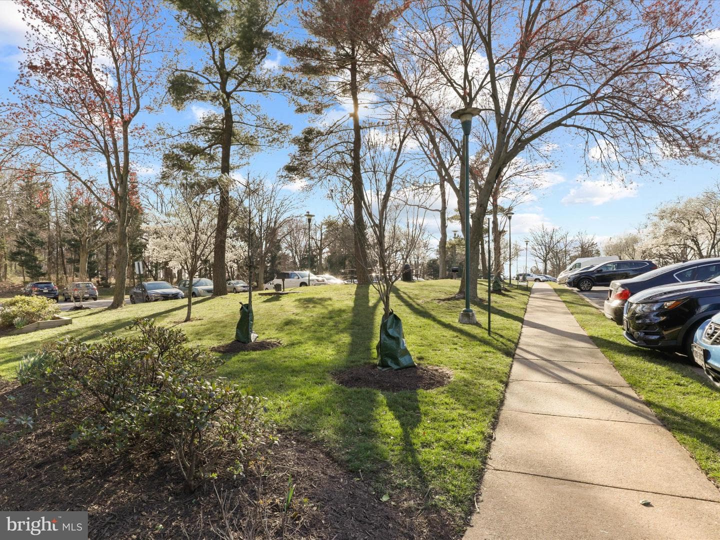 2500 N Van Dorn Street #813 photo 35