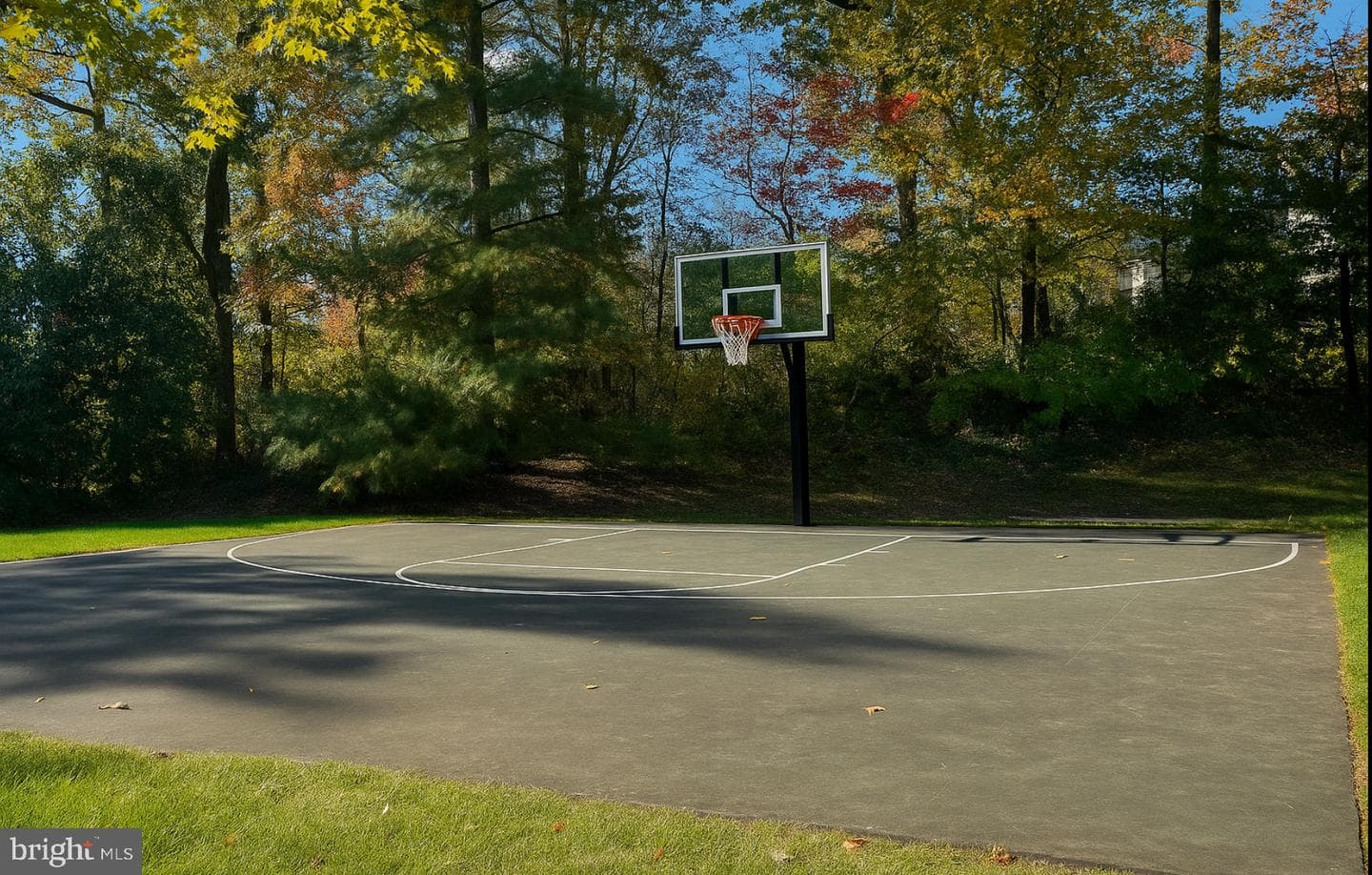 205 Yoakum Parkway #823 photo 43