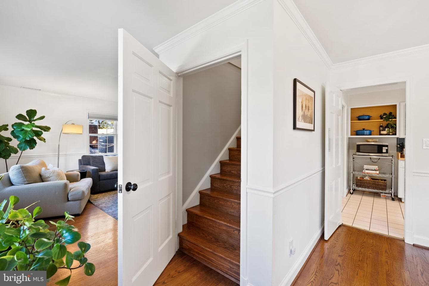 205 Vassar Place photo 19