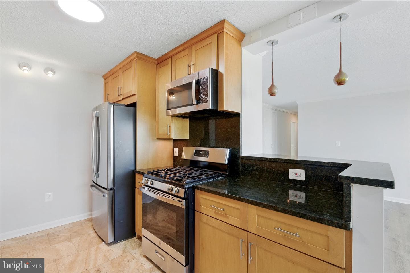 1225 Martha Custis Drive #919 photo 12