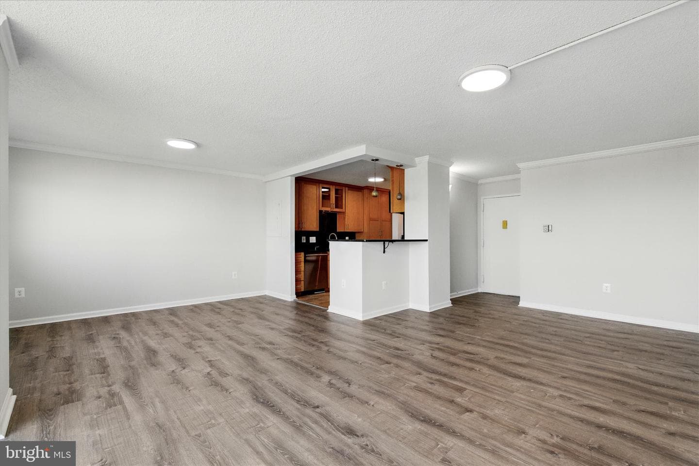 1225 Martha Custis Drive #919 photo 6