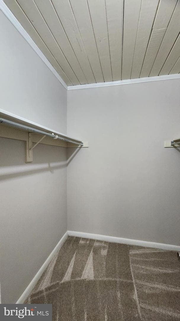 53 Skyhill Road #301 photo 14