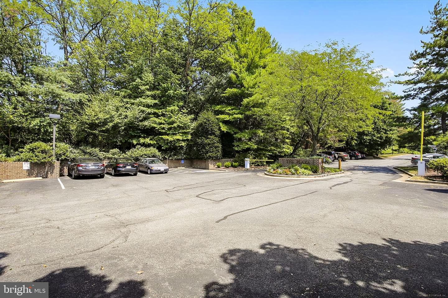 801 N Howard Street #303 photo 29