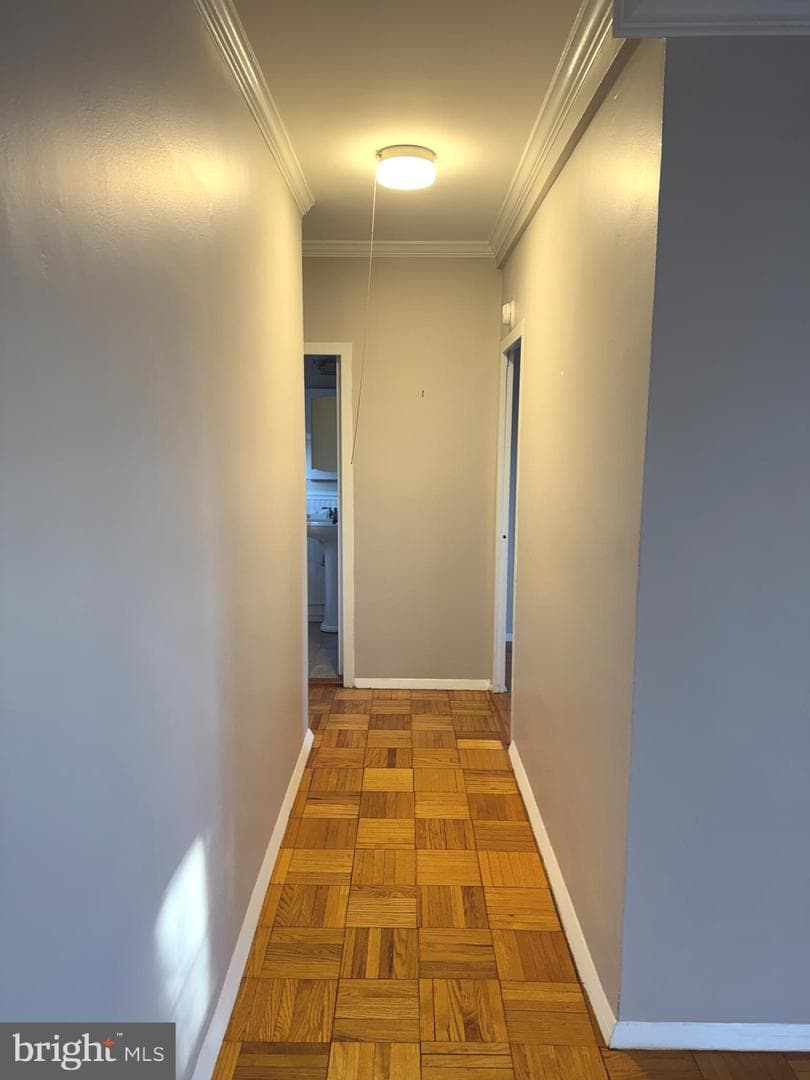 3516 Martha Custis Drive photo 7