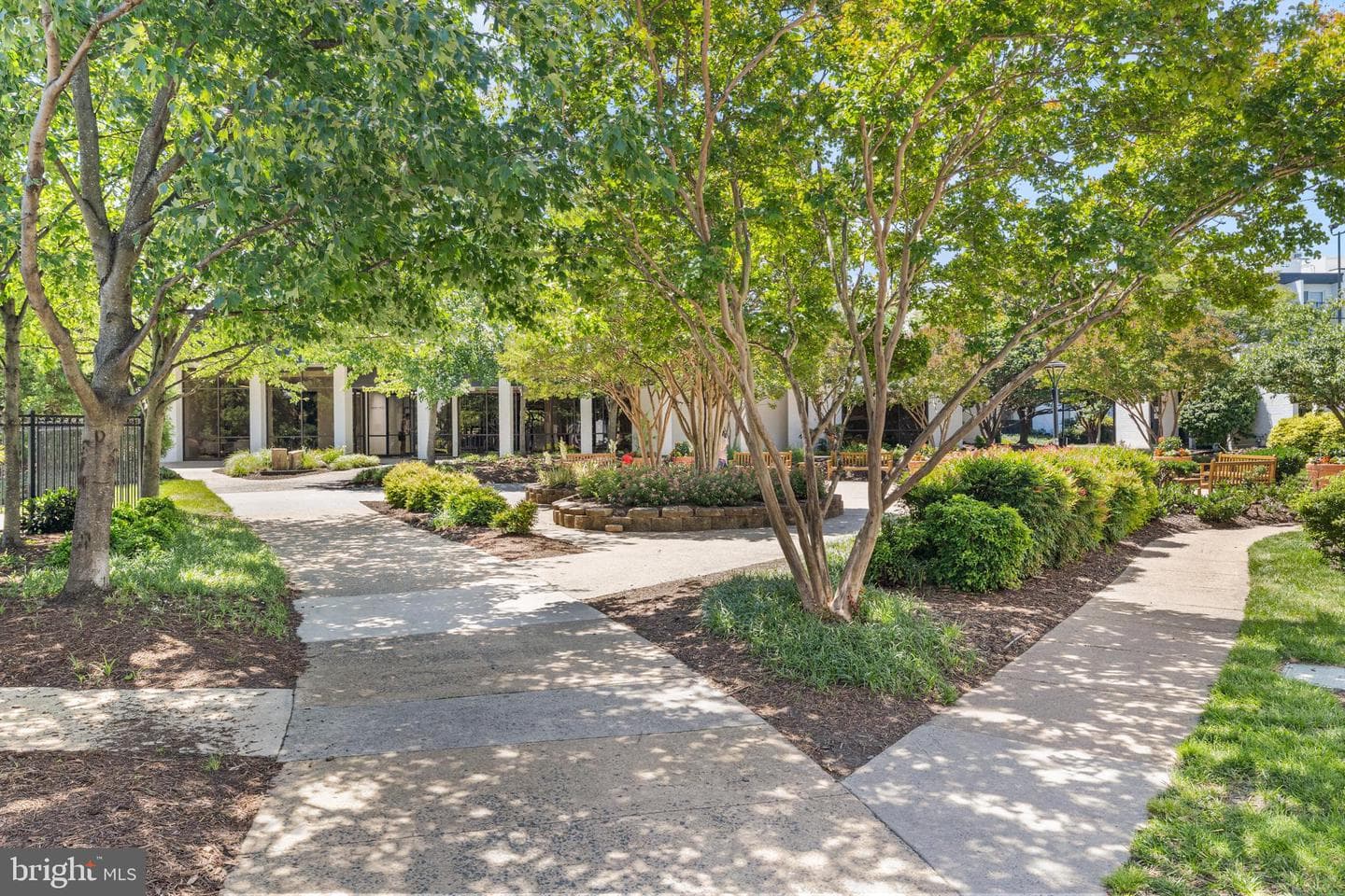 8 S Van Dorn Street #203 photo 54