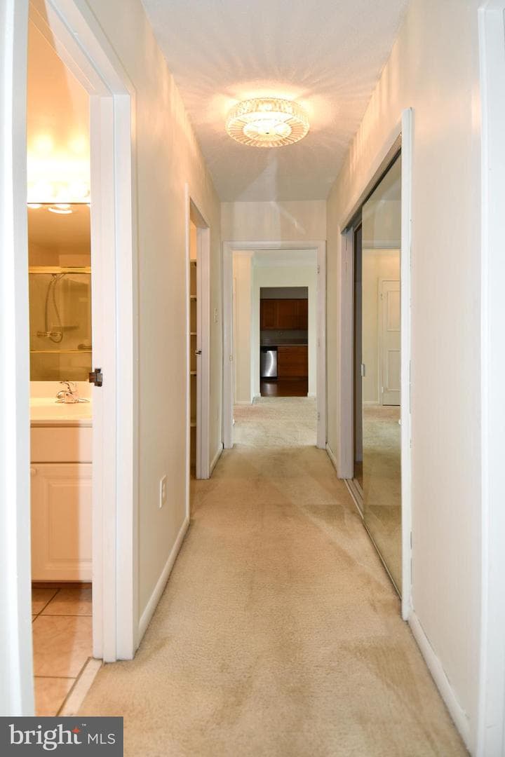 400 Madison Street #301 photo 41