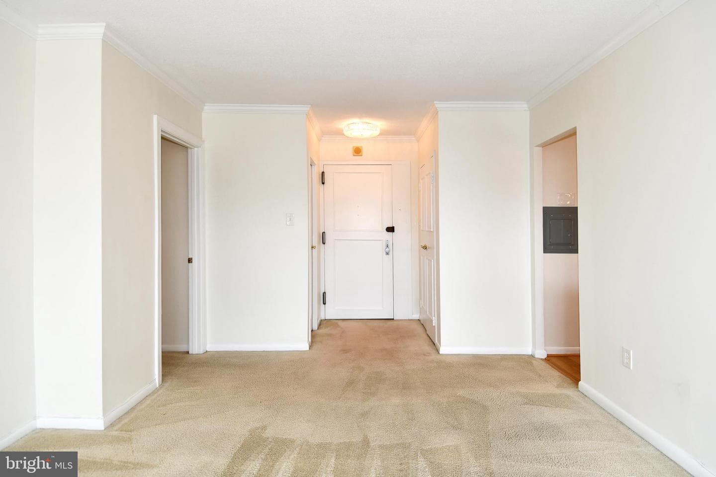 400 Madison Street #301 photo 6