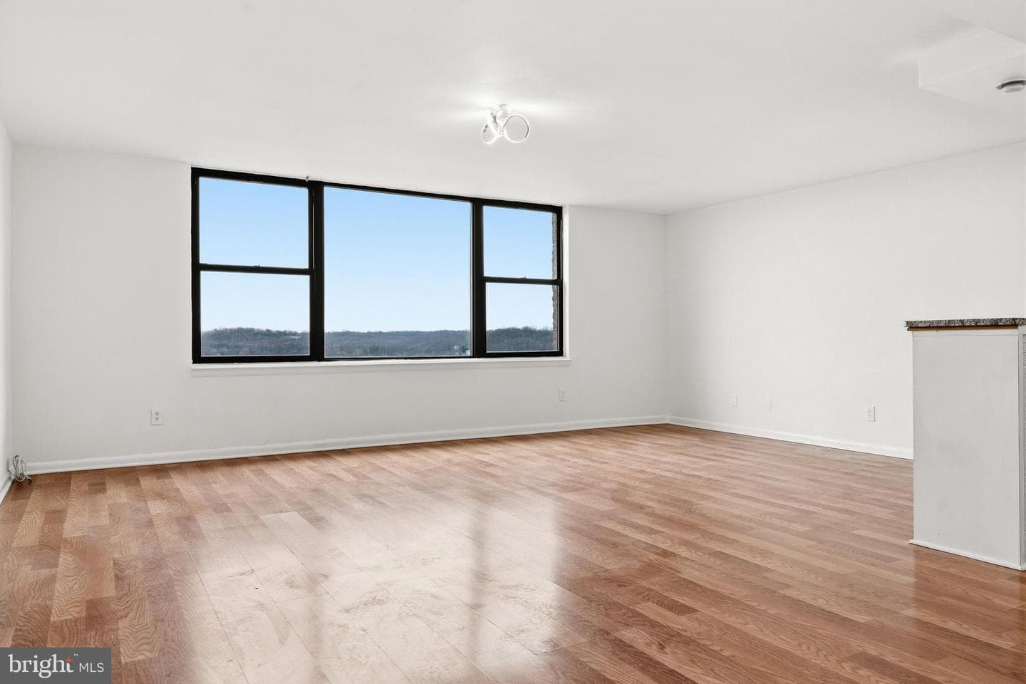 4600 Duke Street #1617 photo 15