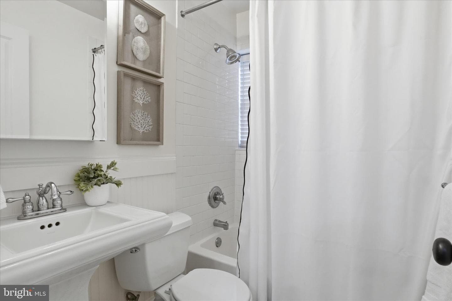 820-B S Washington Street #125 photo 13