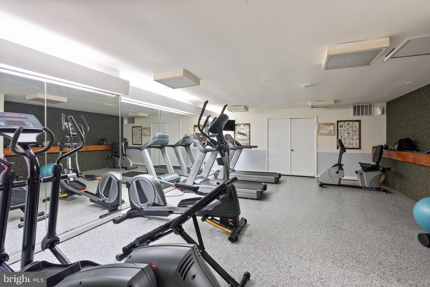 5340 Holmes Run Parkway #1209 photo 19