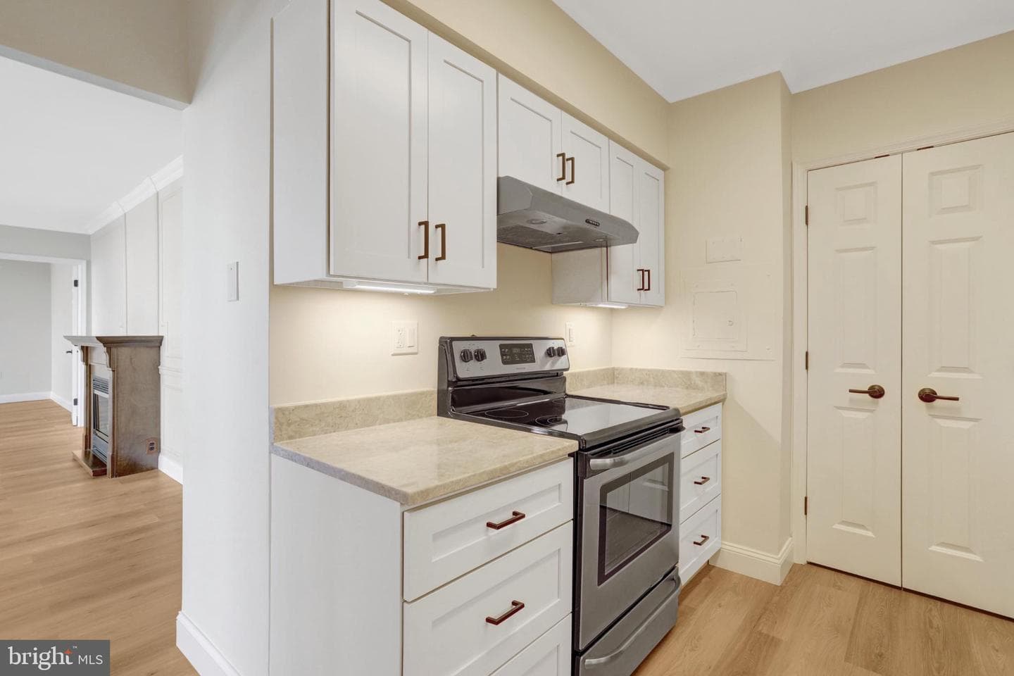 400 Madison Street #806 photo 8