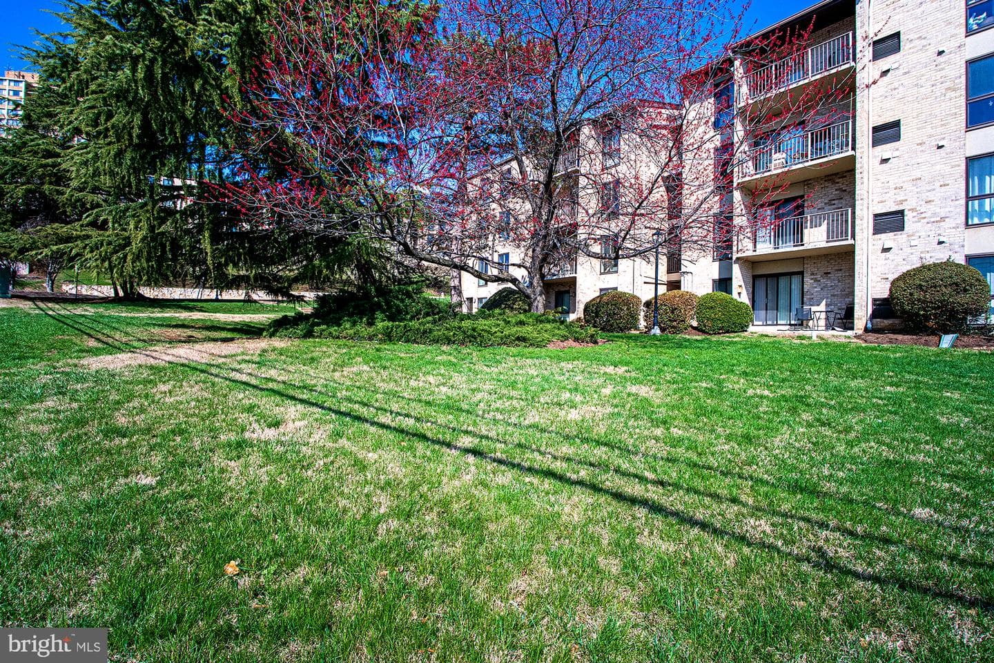 6141 Edsall Road #b photo 20