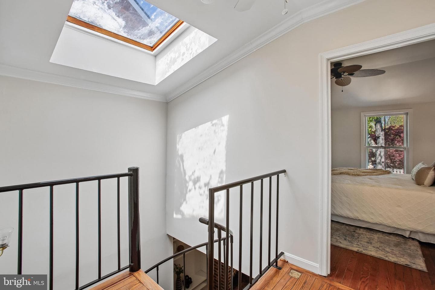 813 Wolfe Street photo 26