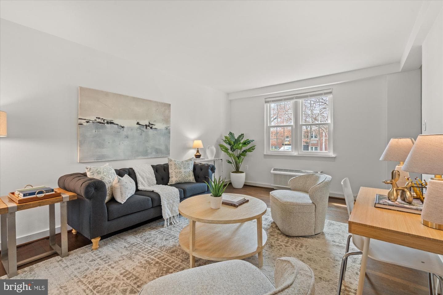 12 Ashby Street #f photo 4