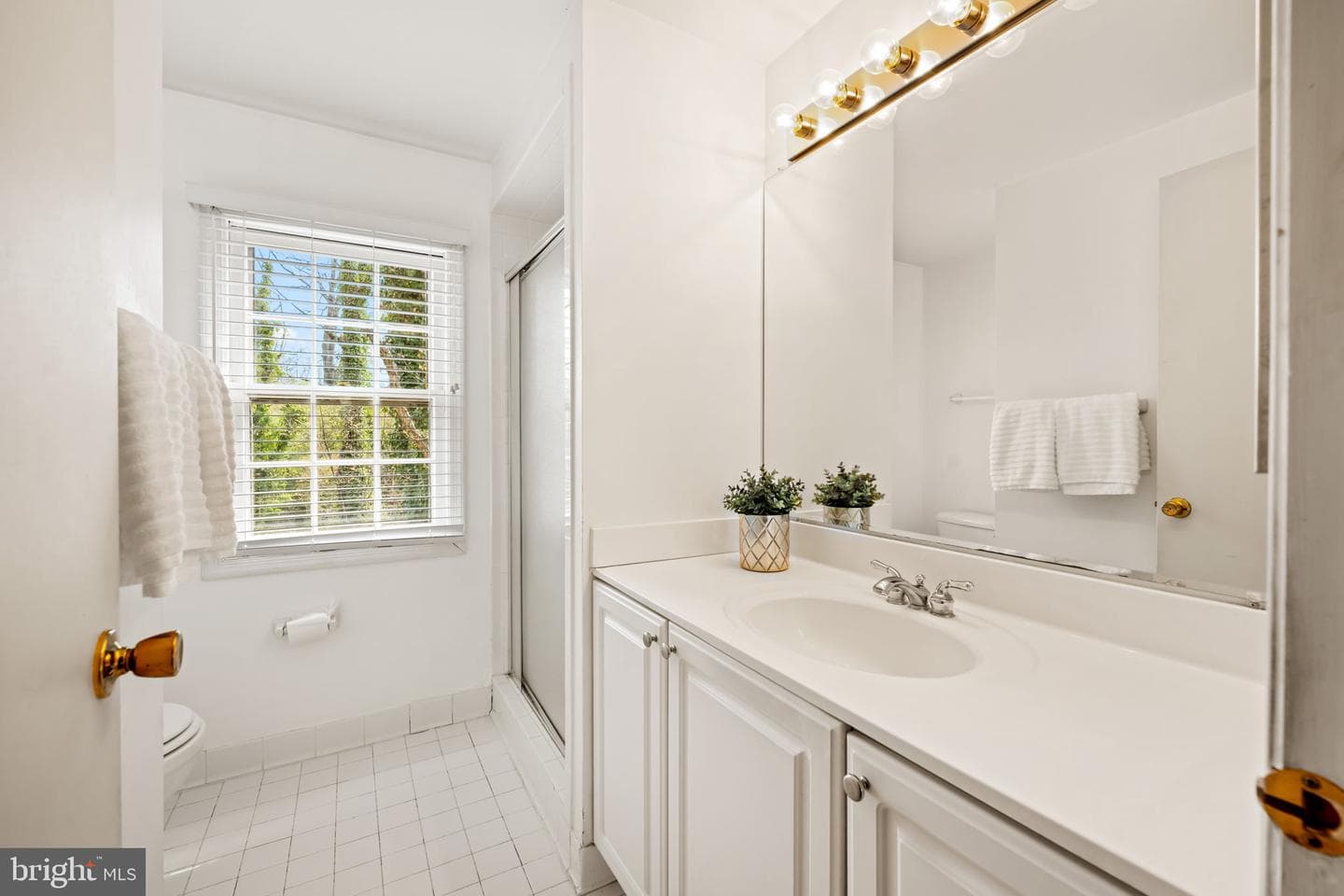 3705 Templeton Place photo 27